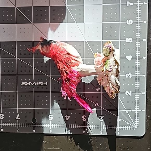 Red 🪭 CARDINAL bird 🌹 - Picture 8 of 10